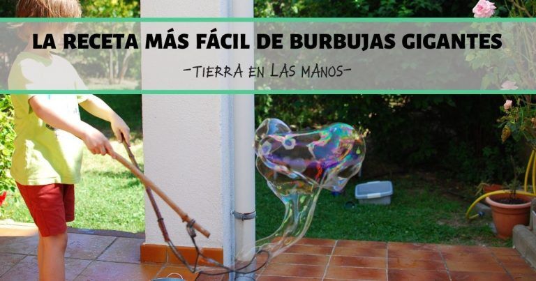 La receta más fácil de burbujas gigantes