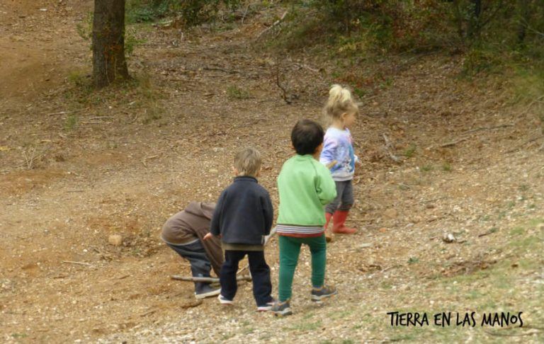 El efecto de la naturaleza en los niños. 7 cambios positivos. – Tierra ...