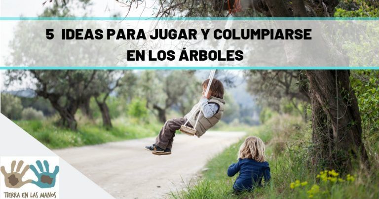 5 ideas para jugar y columpiarse en los árboles